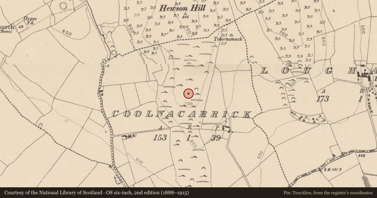 Ordnance Survey six-inch map, 2nd edition (1888–1915) covering the location of Cairn - unclassified, Coolnacarrick, County Laois, with a pin at the register's coordinates
