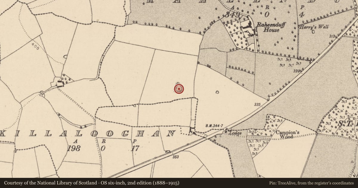 Ordnance Survey six-inch map, 2nd edition (1888–1915) covering the location of Enclosure, Raheenduff, County Laois, with a pin at the register's coordinates