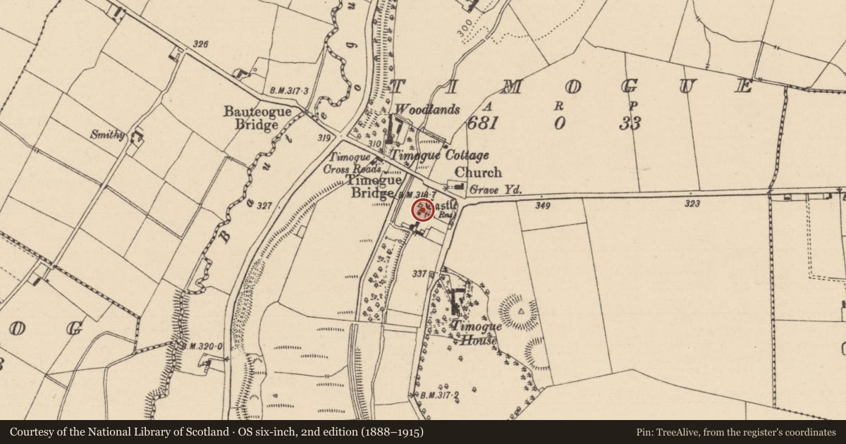 Ordnance Survey six-inch map, 2nd edition (1888–1915) covering the location of Castle - unclassified, Timogue, County Laois, with a pin at the register's coordinates