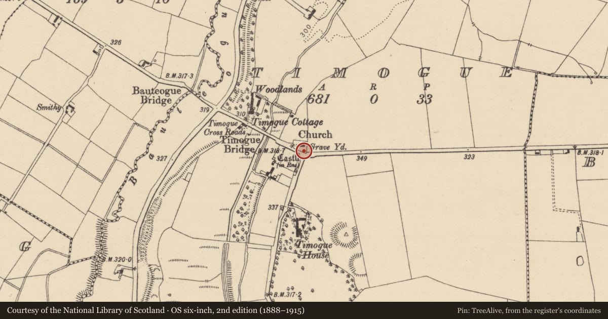Ordnance Survey six-inch map, 2nd edition (1888–1915) covering the location of Graveyard, Timogue, County Laois, with a pin at the register's coordinates