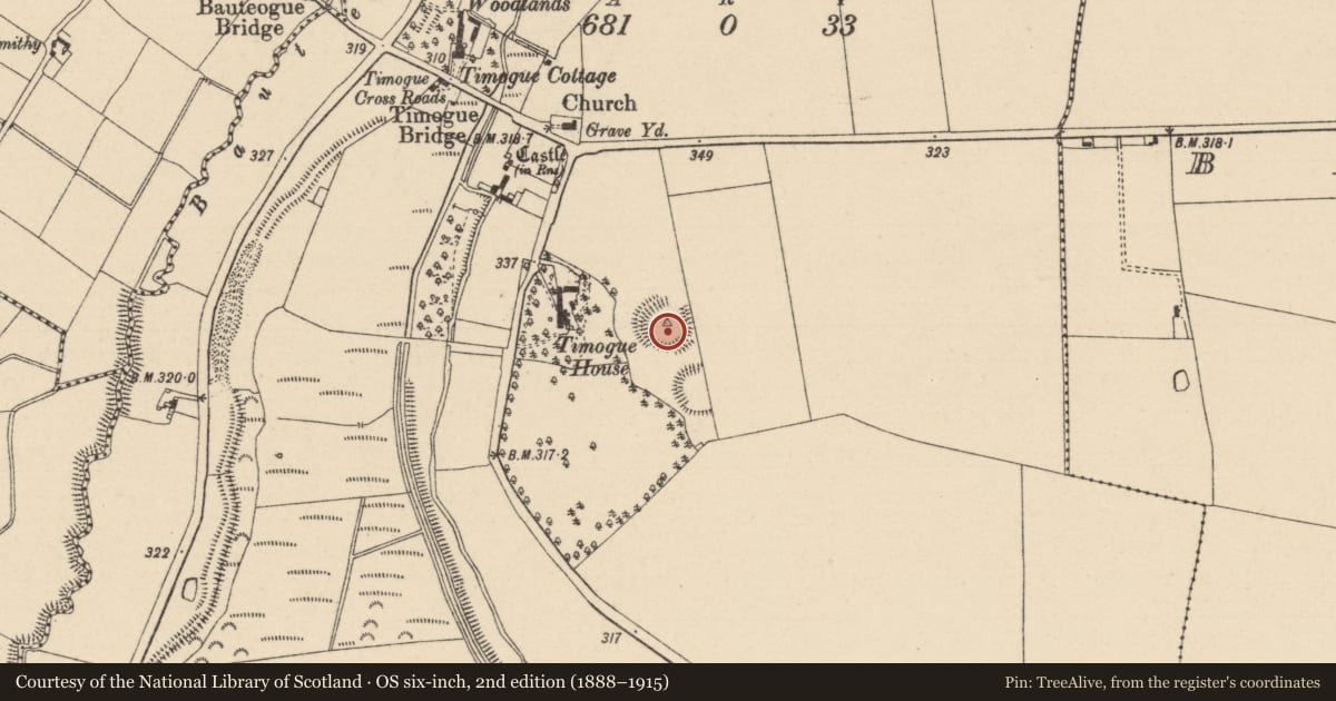 Ordnance Survey six-inch map, 2nd edition (1888–1915) covering the location of Ringfort - rath, Timogue, County Laois, with a pin at the register's coordinates