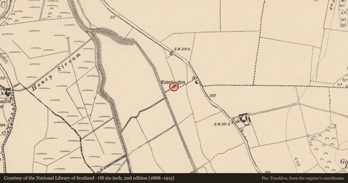 Ordnance Survey six-inch map, 2nd edition (1888–1915) covering the location of Ritual site - holy well, Timogue, County Laois, with a pin at the register's coordinates
