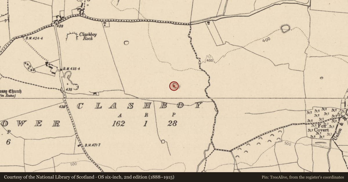 Ordnance Survey six-inch map, 2nd edition (1888–1915) covering the location of Enclosure, Clashboy, County Laois, with a pin at the register's coordinates