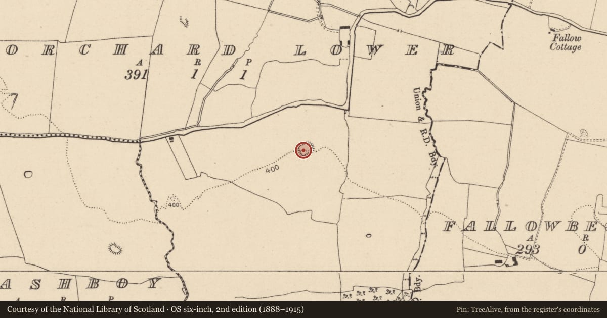 Ordnance Survey six-inch map, 2nd edition (1888–1915) covering the location of Moated site, Orchard Lower, County Laois, with a pin at the register's coordinates