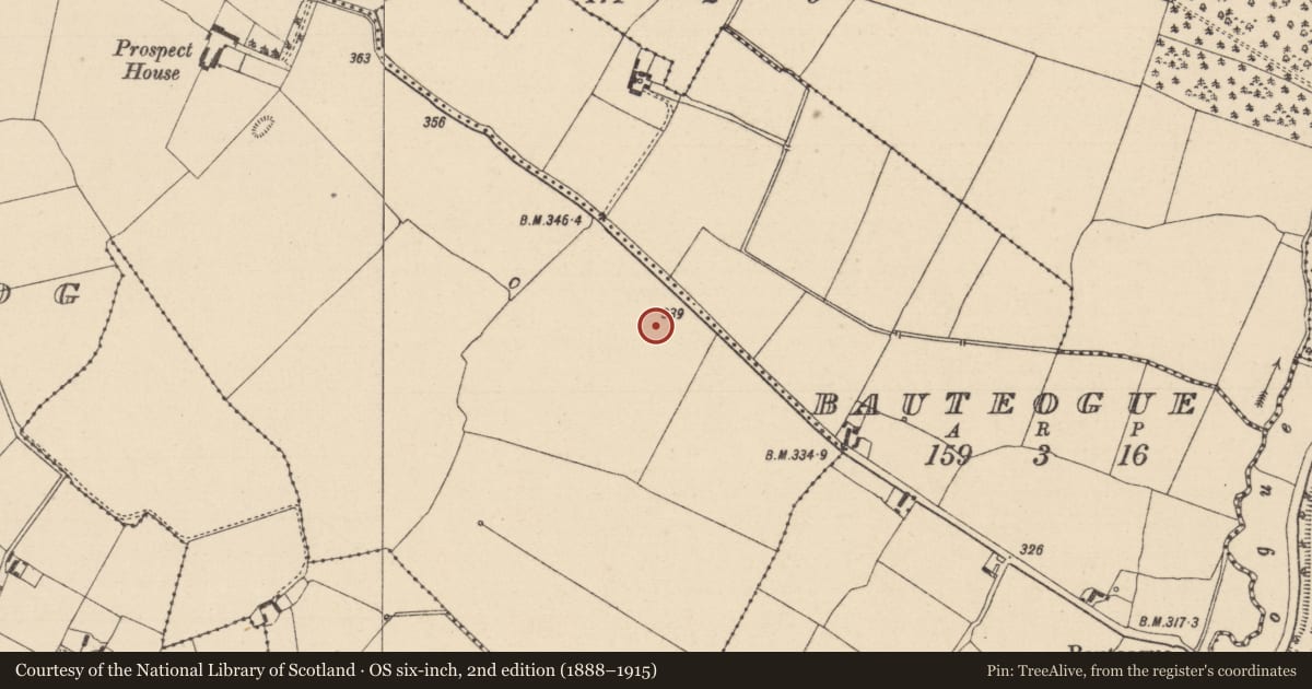 Ordnance Survey six-inch map, 2nd edition (1888–1915) covering the location of Moated site, Loughteeog, County Laois, with a pin at the register's coordinates