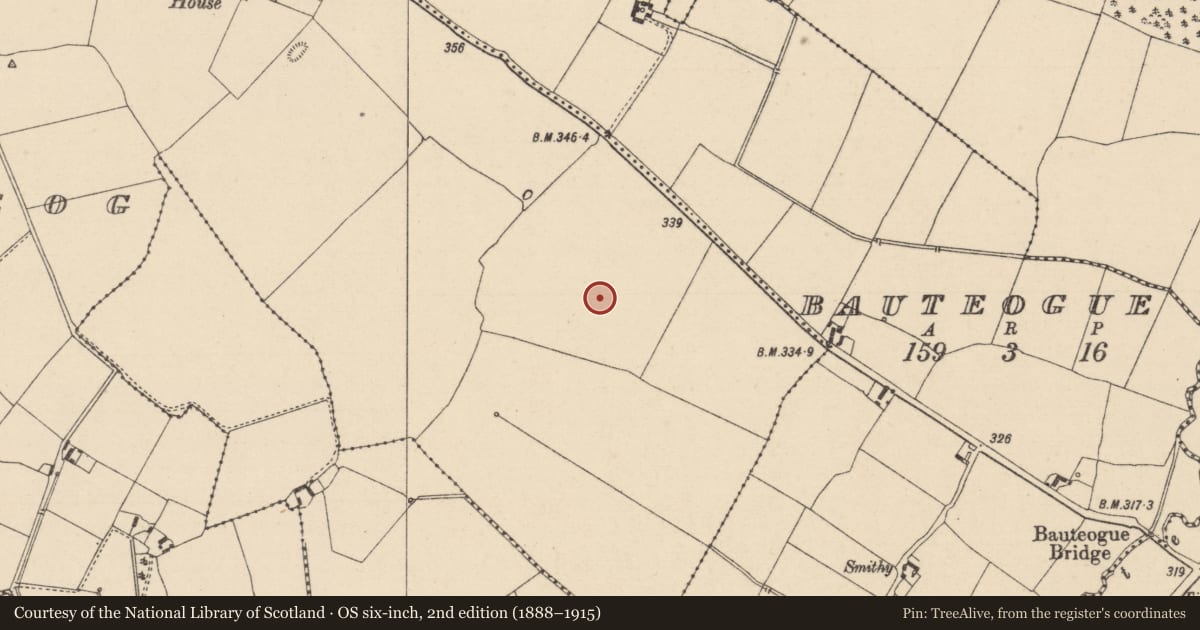 Ordnance Survey six-inch map, 2nd edition (1888–1915) covering the location of Enclosure, Loughteeog, County Laois, with a pin at the register's coordinates