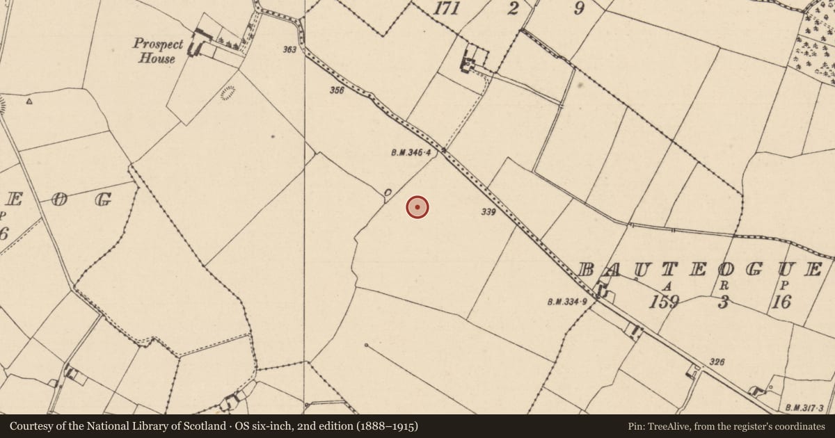 Ordnance Survey six-inch map, 2nd edition (1888–1915) covering the location of Road - road/trackway, Loughteeog, County Laois, with a pin at the register's coordinates