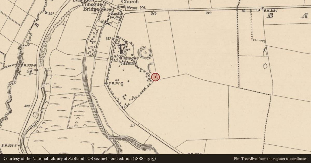 Ordnance Survey six-inch map, 2nd edition (1888–1915) covering the location of Burial, Timogue, County Laois, with a pin at the register's coordinates
