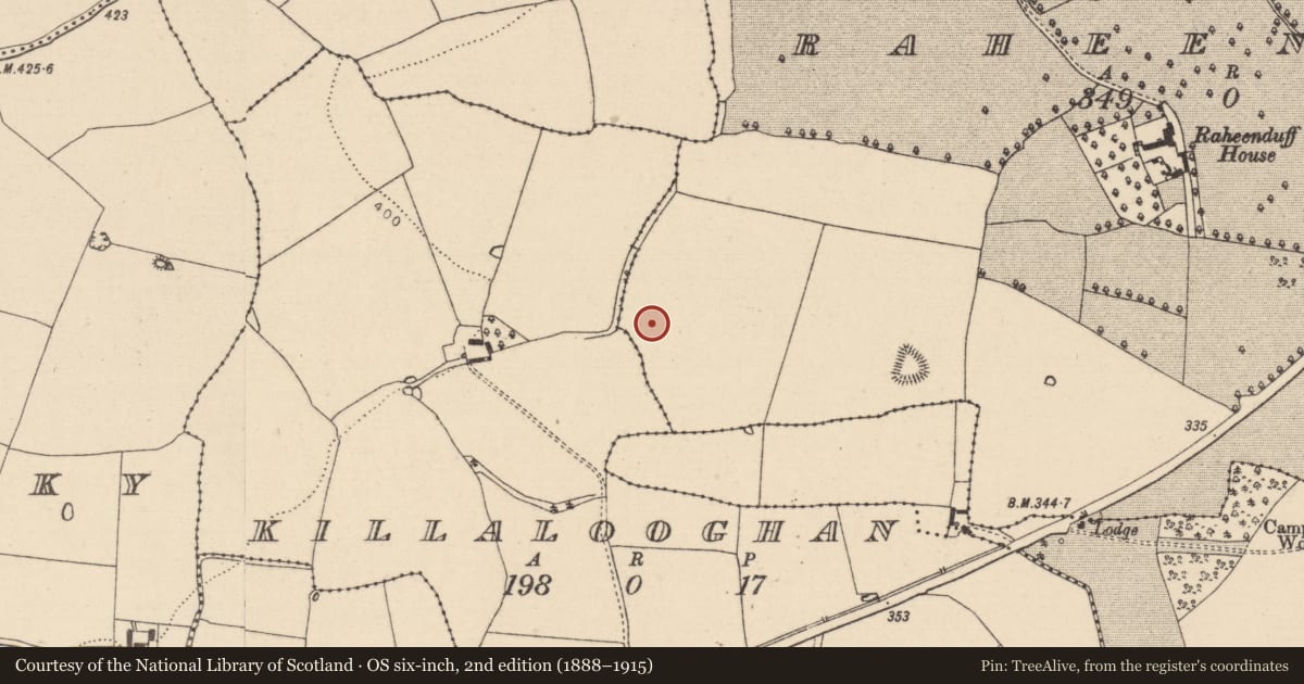 Ordnance Survey six-inch map, 2nd edition (1888–1915) covering the location of Enclosure, Raheenduff, County Laois, with a pin at the register's coordinates