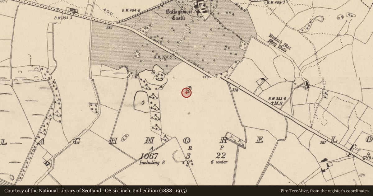 Ordnance Survey six-inch map, 2nd edition (1888–1915) covering the location of Enclosure, Ballaghmore Lower, County Laois, with a pin at the register's coordinates