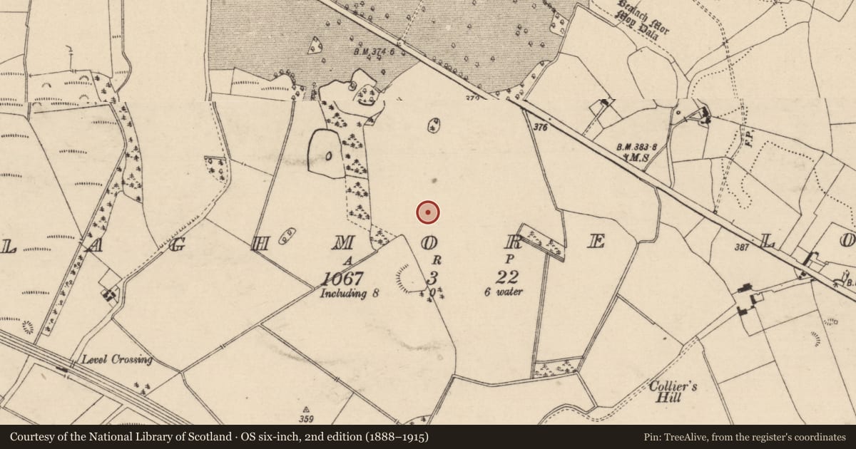 Ordnance Survey six-inch map, 2nd edition (1888–1915) covering the location of Standing stone, Ballaghmore Lower, County Laois, with a pin at the register's coordinates