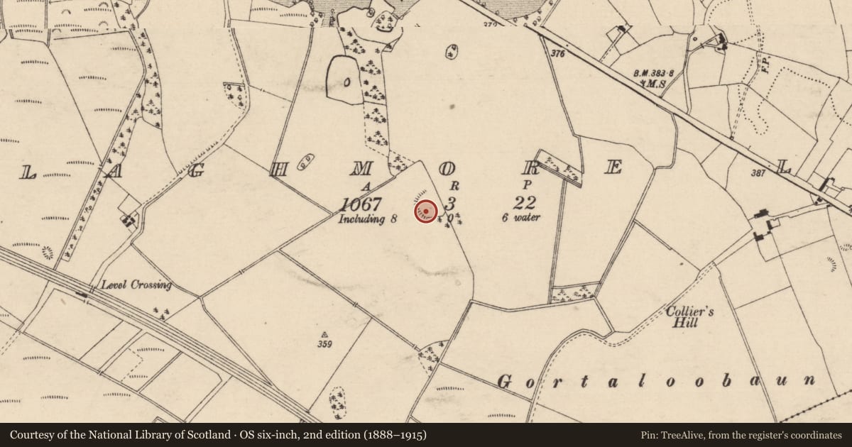 Ordnance Survey six-inch map, 2nd edition (1888–1915) covering the location of Enclosure, Ballaghmore Lower, County Laois, with a pin at the register's coordinates