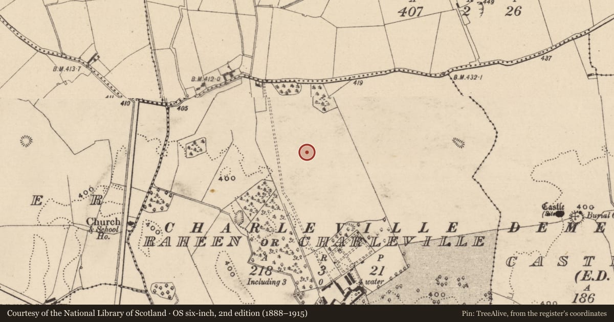 Ordnance Survey six-inch map, 2nd edition (1888–1915) covering the location of Enclosure, Raheen Or Charleville, County Laois, with a pin at the register's coordinates