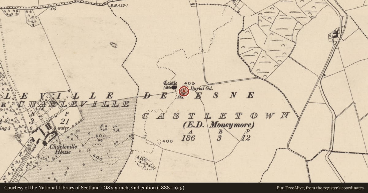Ordnance Survey six-inch map, 2nd edition (1888–1915) covering the location of Bawn, Castletown, County Laois, with a pin at the register's coordinates
