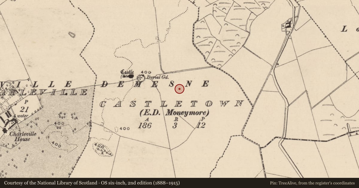 Ordnance Survey six-inch map, 2nd edition (1888–1915) covering the location of Enclosure, Castletown, County Laois, with a pin at the register's coordinates