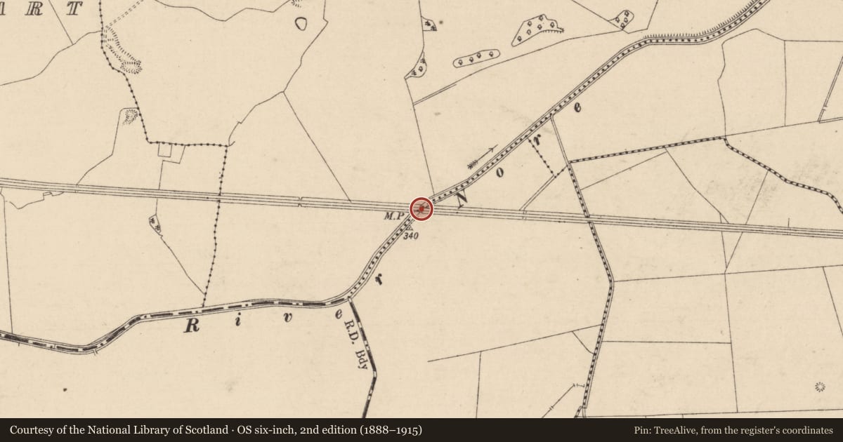 Ordnance Survey six-inch map, 2nd edition (1888–1915) covering the location of Ringfort - rath, Moneymore, County Laois, with a pin at the register's coordinates