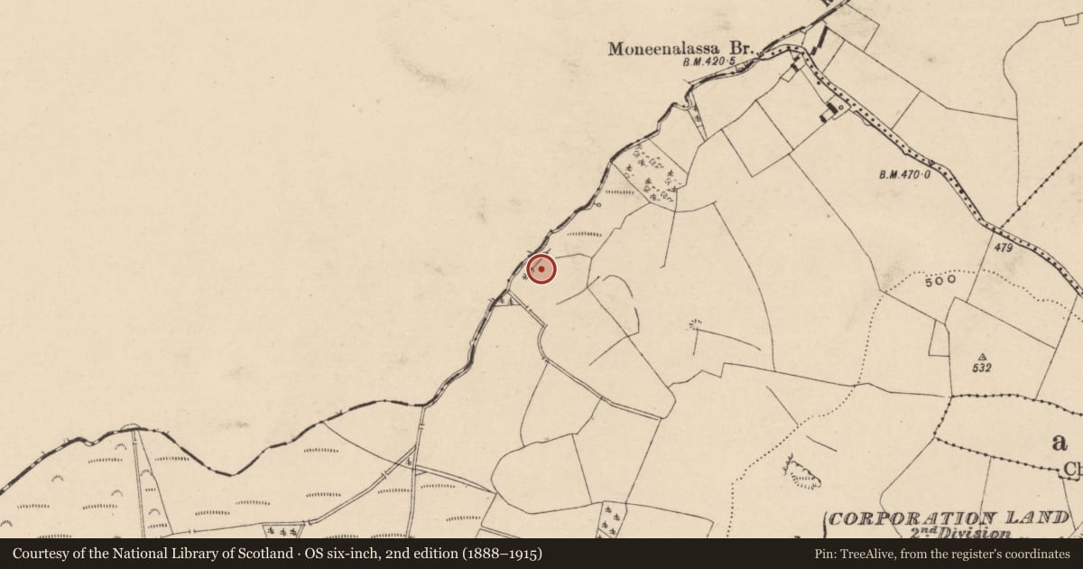 Ordnance Survey six-inch map, 2nd edition (1888–1915) covering the location of Fulacht fia, Newtown Or Skirk, County Laois, with a pin at the register's coordinates
