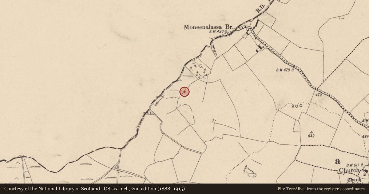 Ordnance Survey six-inch map, 2nd edition (1888–1915) covering the location of Fulacht fia, Newtown Or Skirk, County Laois, with a pin at the register's coordinates