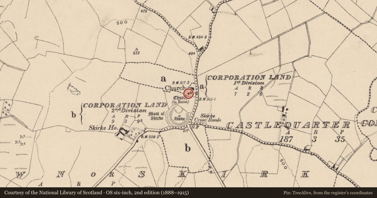Ordnance Survey six-inch map, 2nd edition (1888–1915) covering the location of Graveyard, Newtown Or Skirk, County Laois, with a pin at the register's coordinates