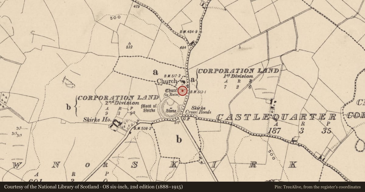 Ordnance Survey six-inch map, 2nd edition (1888–1915) covering the location of Graveslab, Newtown Or Skirk, County Laois, with a pin at the register's coordinates