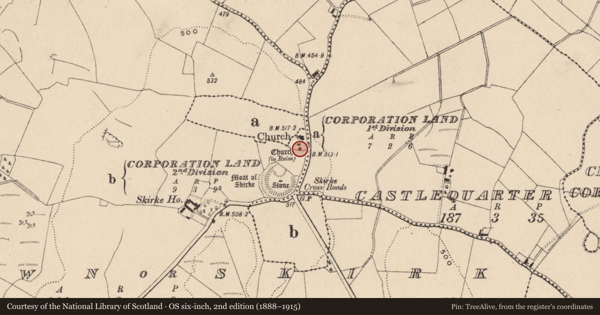 Ordnance Survey six-inch map, 2nd edition (1888–1915) covering the location of Architectural fragment, Newtown Or Skirk, County Laois, with a pin at the register's coordinates