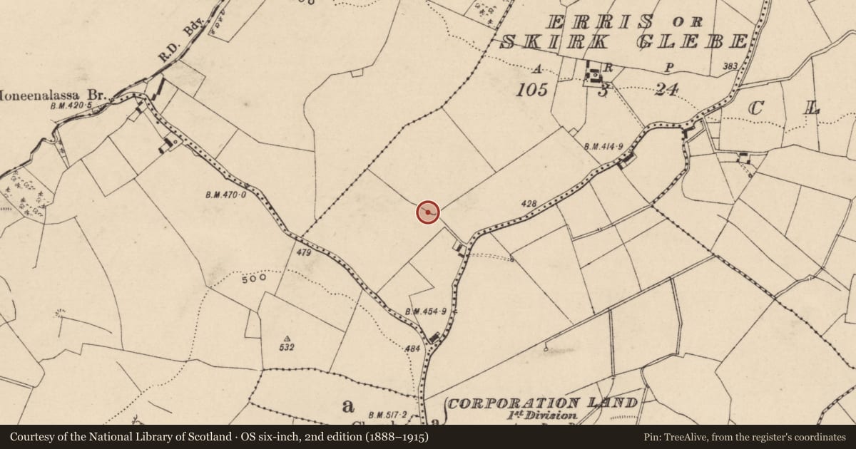 Ordnance Survey six-inch map, 2nd edition (1888–1915) covering the location of Building, Erris Or Skirk Glebe, County Laois, with a pin at the register's coordinates