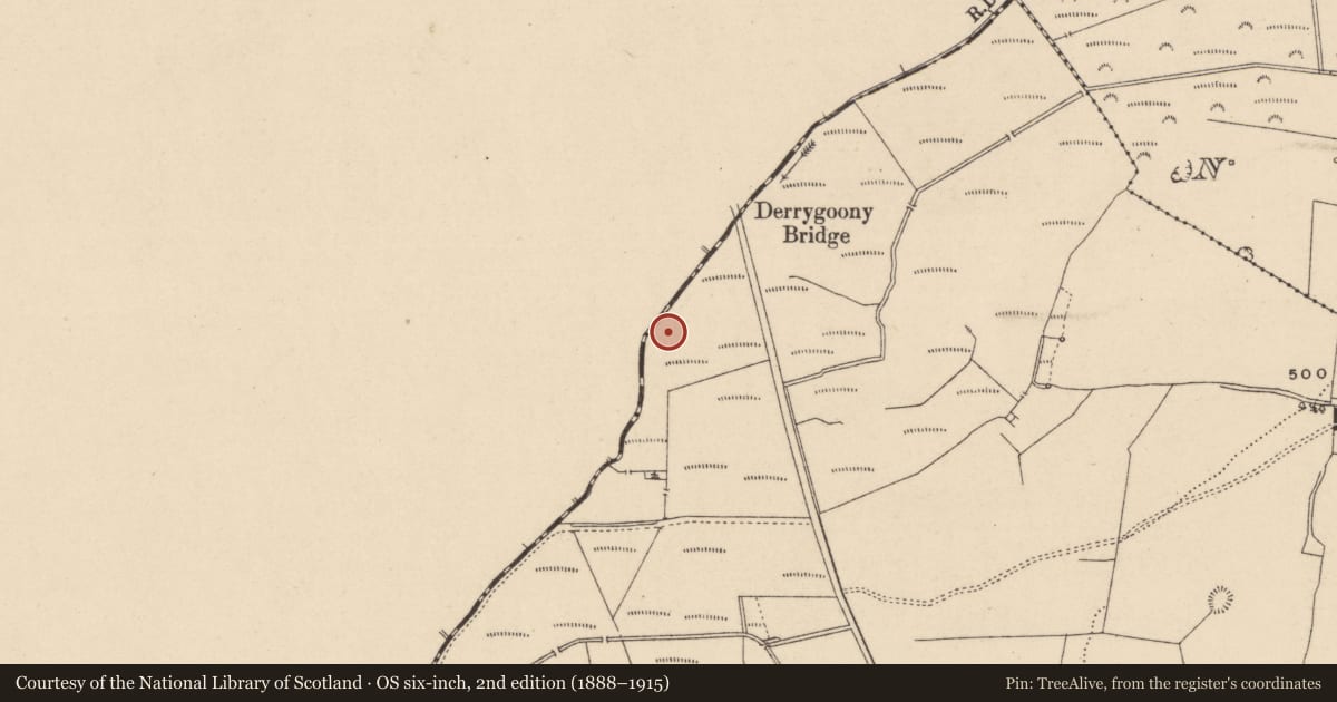 Ordnance Survey six-inch map, 2nd edition (1888–1915) covering the location of Moated site, Garranmaconly, County Laois, with a pin at the register's coordinates