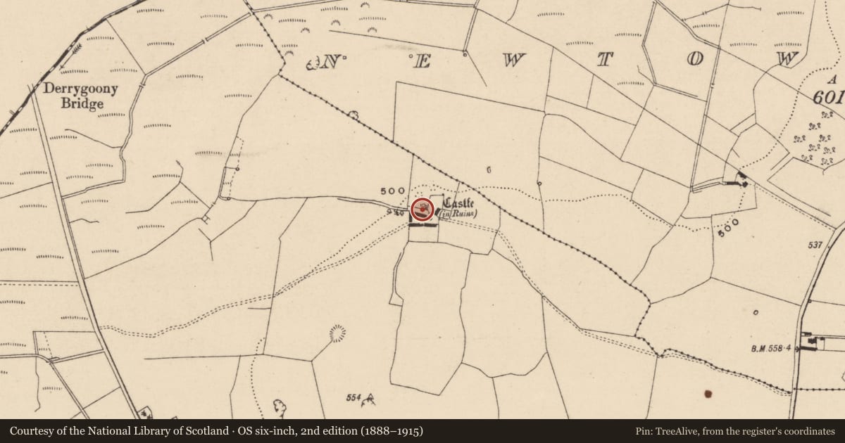 Ordnance Survey six-inch map, 2nd edition (1888–1915) covering the location of Castle - tower house, Garranmaconly, County Laois, with a pin at the register's coordinates