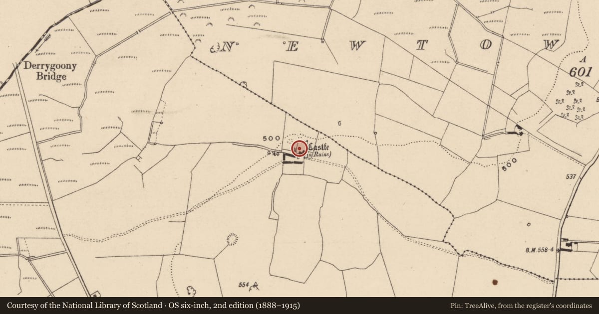 Ordnance Survey six-inch map, 2nd edition (1888–1915) covering the location of Field system, Garranmaconly, County Laois, with a pin at the register's coordinates