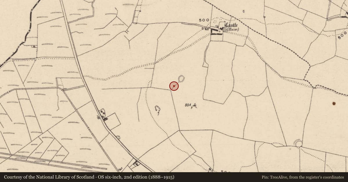Ordnance Survey six-inch map, 2nd edition (1888–1915) covering the location of Field boundary, Garranmaconly, County Laois, with a pin at the register's coordinates