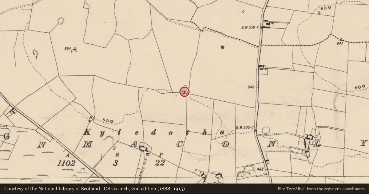 Ordnance Survey six-inch map, 2nd edition (1888–1915) covering the location of Ringfort - rath, Garranmaconly, County Laois, with a pin at the register's coordinates