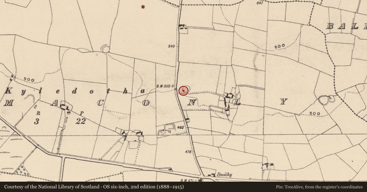 Ordnance Survey six-inch map, 2nd edition (1888–1915) covering the location of Ringfort - rath, Garranmaconly, County Laois, with a pin at the register's coordinates