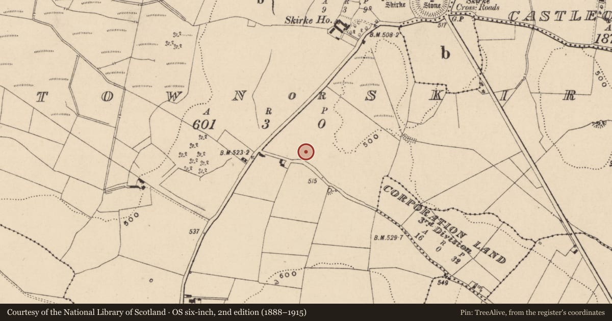 Ordnance Survey six-inch map, 2nd edition (1888–1915) covering the location of Fulacht fia, Newtown Or Skirk, County Laois, with a pin at the register's coordinates