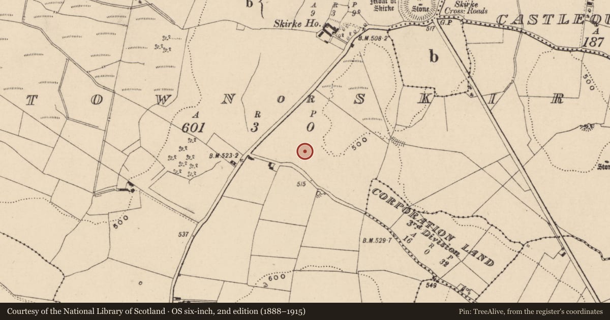 Ordnance Survey six-inch map, 2nd edition (1888–1915) covering the location of Fulacht fia, Newtown Or Skirk, County Laois, with a pin at the register's coordinates