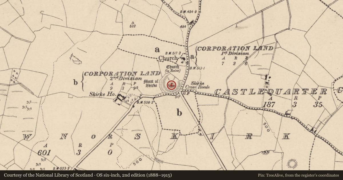 Ordnance Survey six-inch map, 2nd edition (1888–1915) covering the location of Henge, Newtown Or Skirk, County Laois, with a pin at the register's coordinates