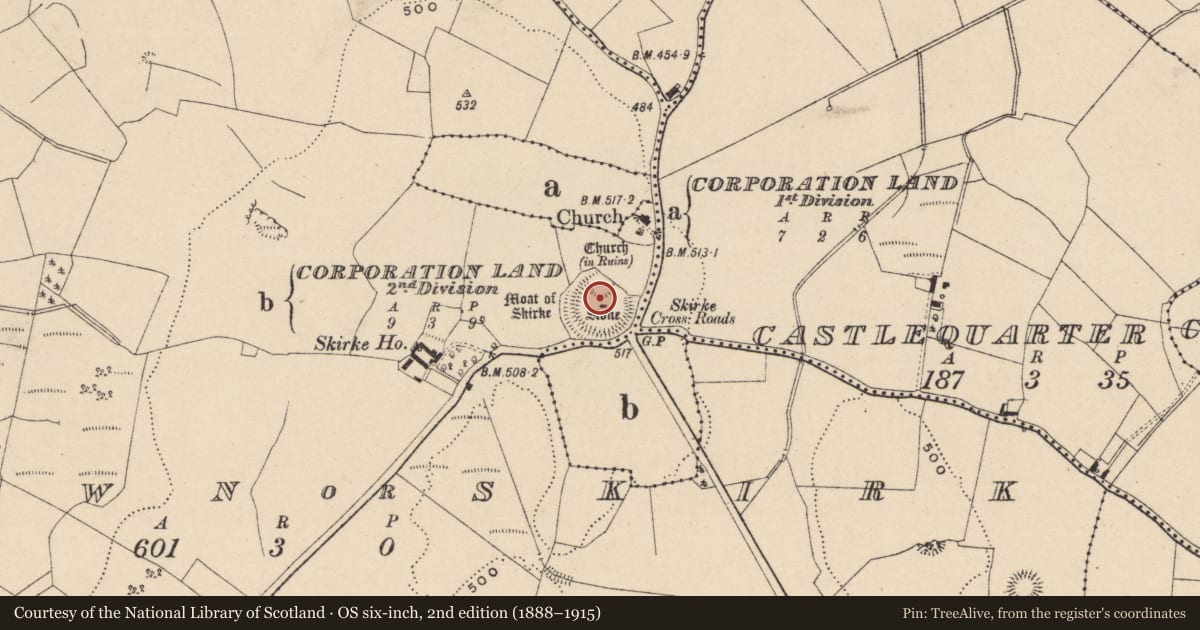 Ordnance Survey six-inch map, 2nd edition (1888–1915) covering the location of Castle - motte and bailey, Newtown Or Skirk, County Laois, with a pin at the register's coordinates