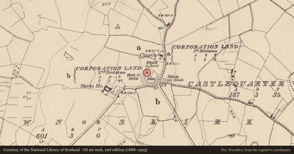 Ordnance Survey six-inch map, 2nd edition (1888–1915) covering the location of Megalithic structure, Newtown Or Skirk, County Laois, with a pin at the register's coordinates