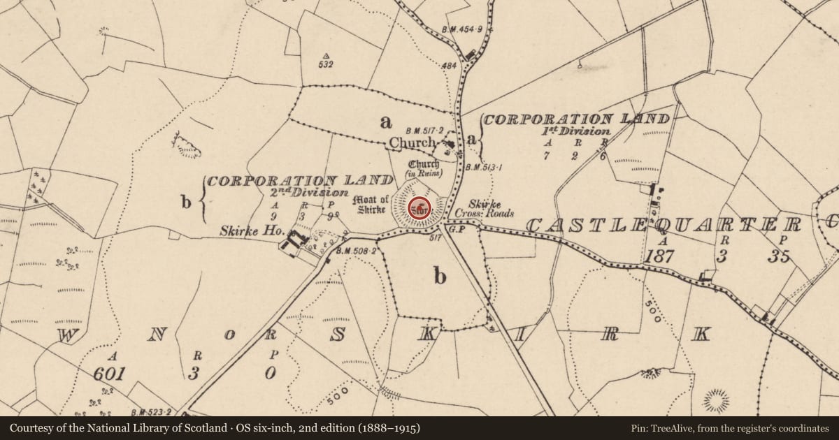 Ordnance Survey six-inch map, 2nd edition (1888–1915) covering the location of Standing stone, Newtown Or Skirk, County Laois, with a pin at the register's coordinates