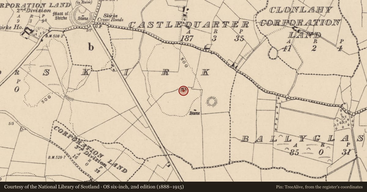 Ordnance Survey six-inch map, 2nd edition (1888–1915) covering the location of Enclosure, Newtown Or Skirk, County Laois, with a pin at the register's coordinates