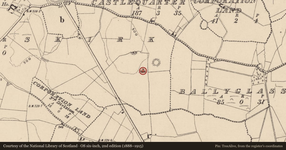 Ordnance Survey six-inch map, 2nd edition (1888–1915) covering the location of Standing stone, Newtown Or Skirk, County Laois, with a pin at the register's coordinates