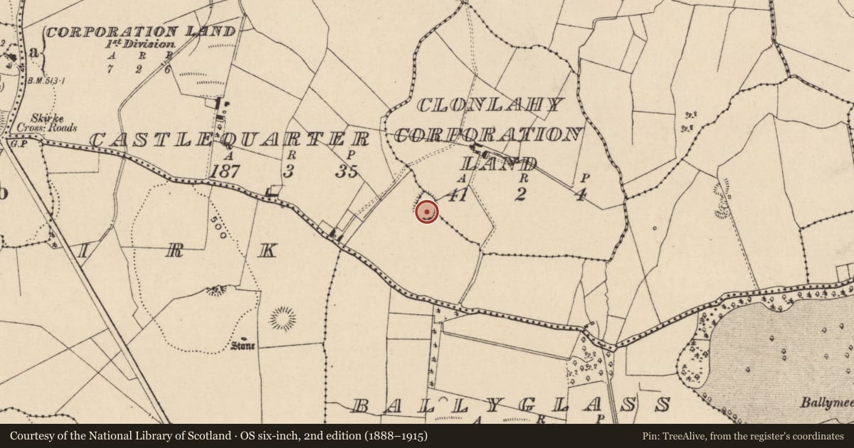 Ordnance Survey six-inch map, 2nd edition (1888–1915) covering the location of Enclosure, Clonlahy Corporation Land, County Laois, with a pin at the register's coordinates
