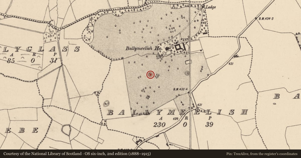 Ordnance Survey six-inch map, 2nd edition (1888–1915) covering the location of Mound, Ballymeelish, County Laois, with a pin at the register's coordinates