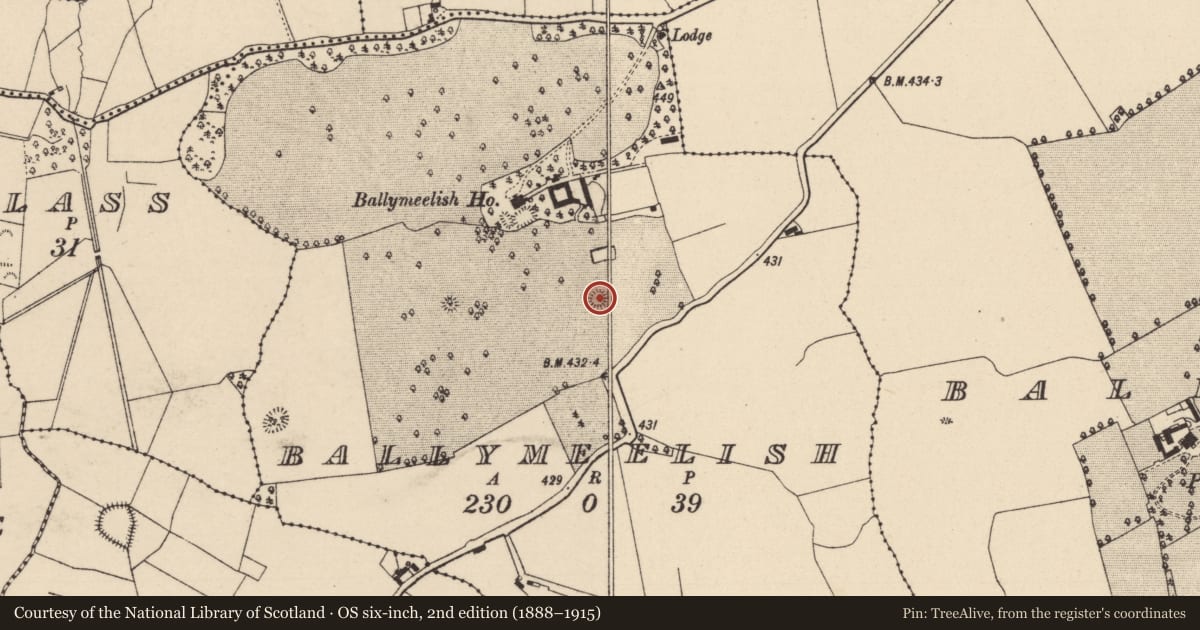 Ordnance Survey six-inch map, 2nd edition (1888–1915) covering the location of Mound, Ballymeelish, County Laois, with a pin at the register's coordinates