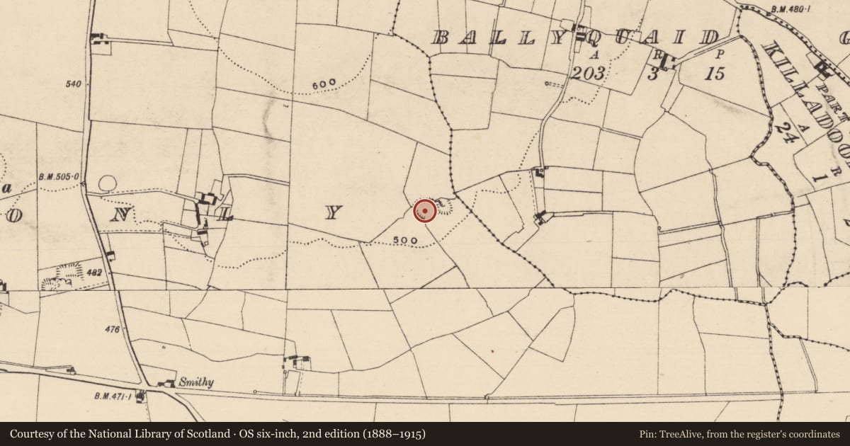 Ordnance Survey six-inch map, 2nd edition (1888–1915) covering the location of Ringfort - rath, Garranmaconly, County Laois, with a pin at the register's coordinates
