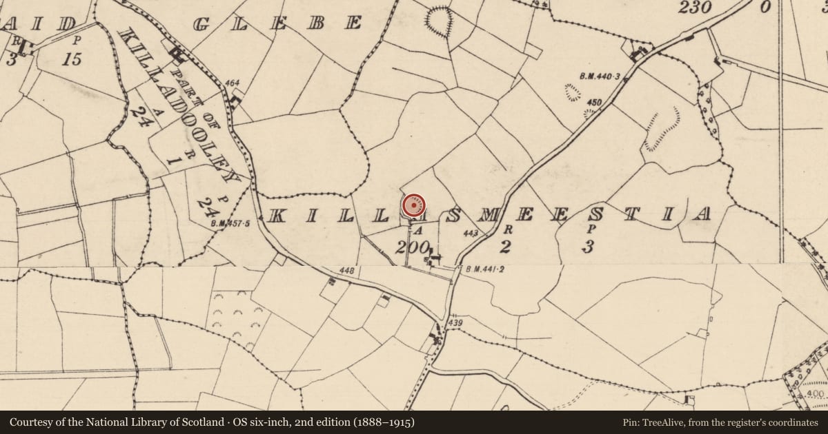 Ordnance Survey six-inch map, 2nd edition (1888–1915) covering the location of Ringfort - rath, Killasmeestia, County Laois, with a pin at the register's coordinates