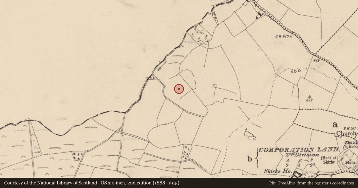 Ordnance Survey six-inch map, 2nd edition (1888–1915) covering the location of Ceremonial enclosure, Newtown Or Skirk, County Laois, with a pin at the register's coordinates