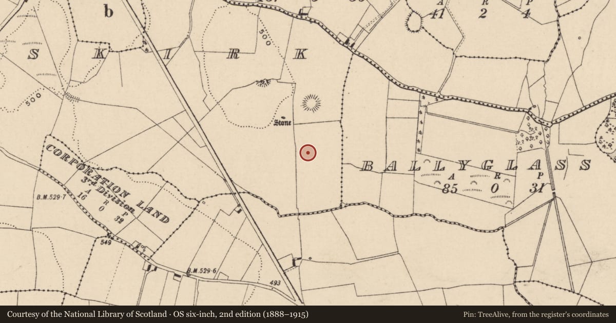 Ordnance Survey six-inch map, 2nd edition (1888–1915) covering the location of Enclosure - large enclosure, Newtown Or Skirk, County Laois, with a pin at the register's coordinates