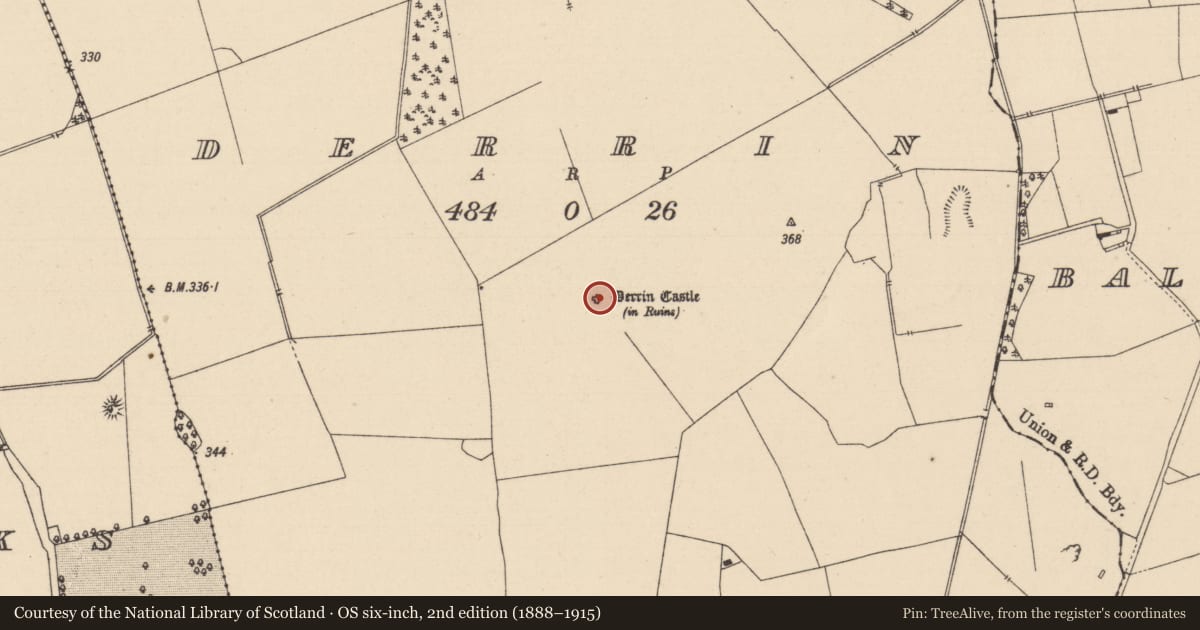 Ordnance Survey six-inch map, 2nd edition (1888–1915) covering the location of House - 16th/17th century, Derrin, County Laois, with a pin at the register's coordinates