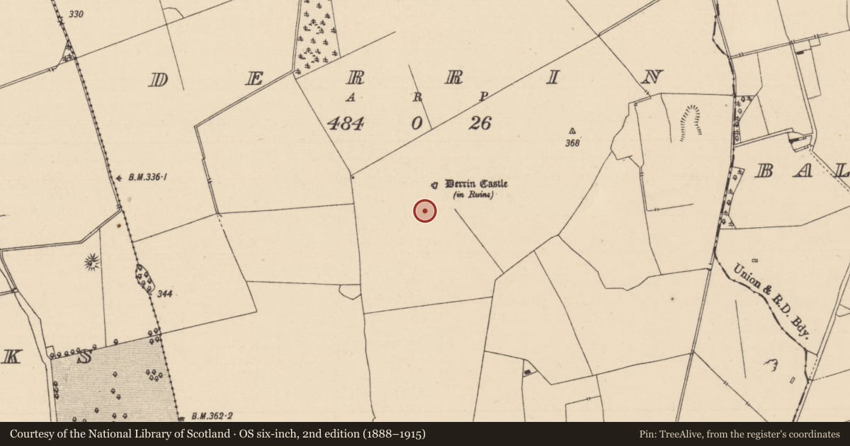 Ordnance Survey six-inch map, 2nd edition (1888–1915) covering the location of Building, Derrin, County Laois, with a pin at the register's coordinates