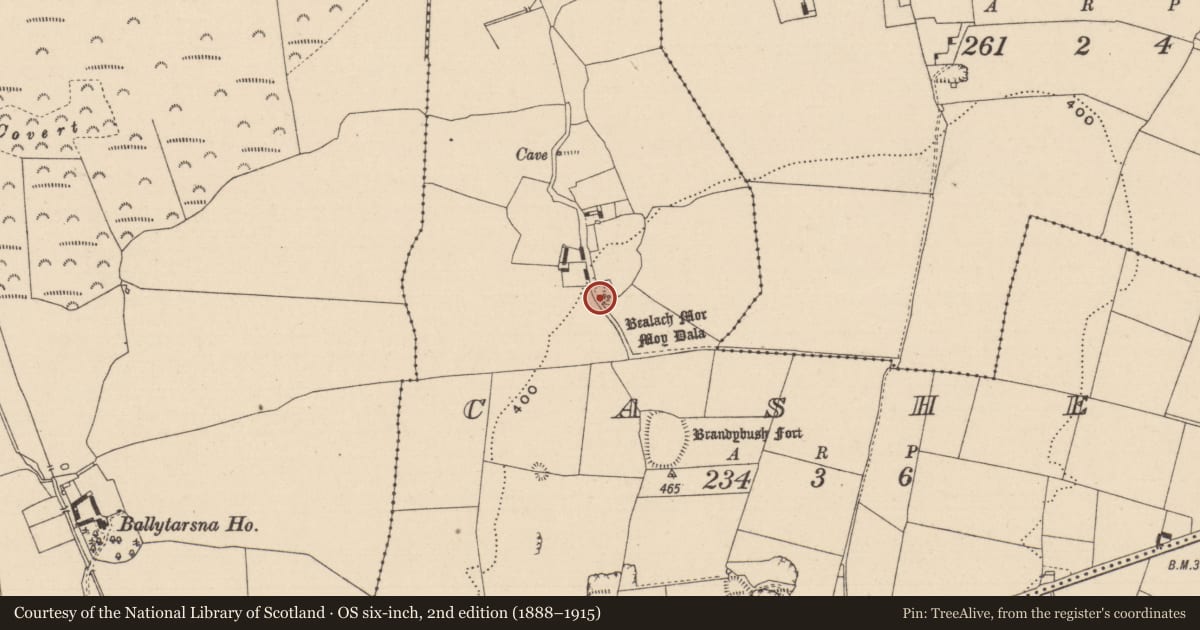Ordnance Survey six-inch map, 2nd edition (1888–1915) covering the location of Church, Cashel, County Laois, with a pin at the register's coordinates